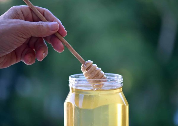 Miel de cactus : un produit avec des bienfaits exceptionnels