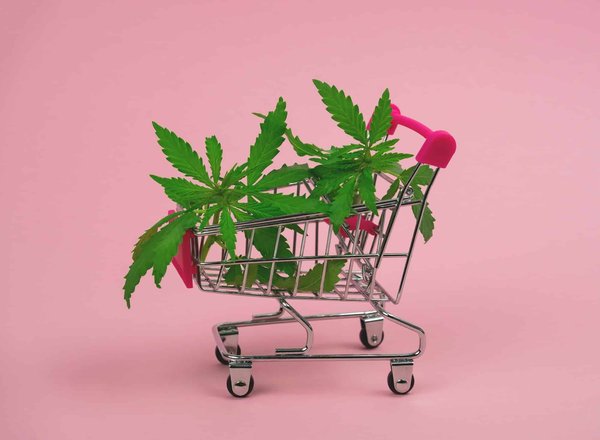 Guide complet de l'achat de cannabidiol en ligne : conseils pour choisir ses produits