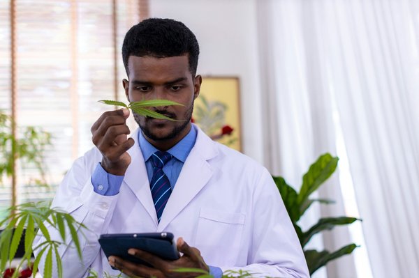 Bienfaits du cbd: un allié pour votre corps et esprit