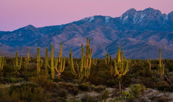 les aliments à privilégier pour une peau éclatante et un bien-être global